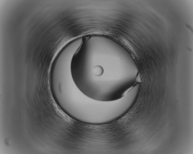 X0000097851132200804041500