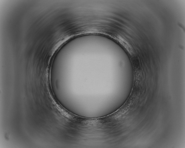 X0000097851134200804041500