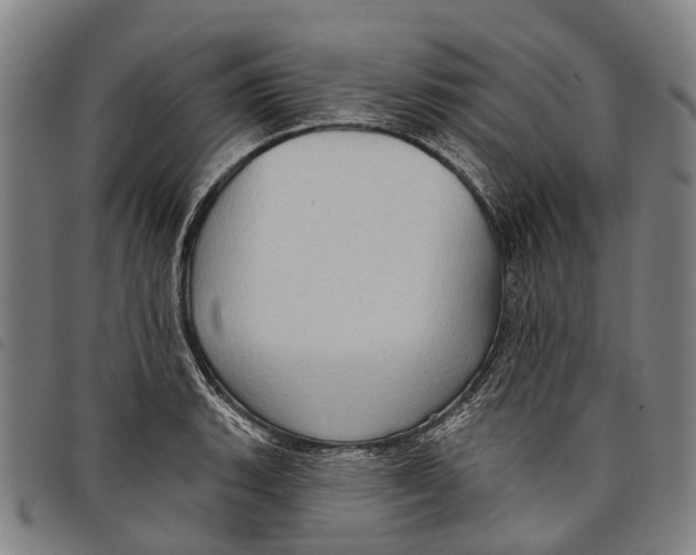 X0000097851135200804041500