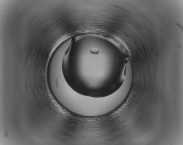 X0000097851138200804041500