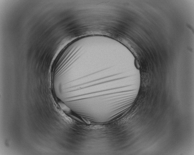 X0000097851140200804041500