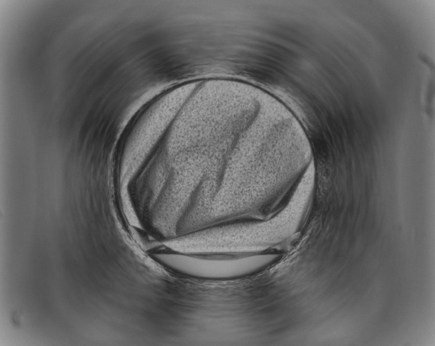 X0000097851142200804041500