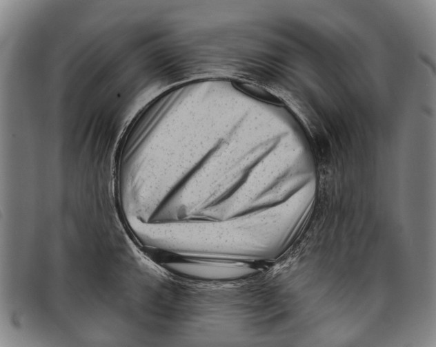 X0000097851143200804041500