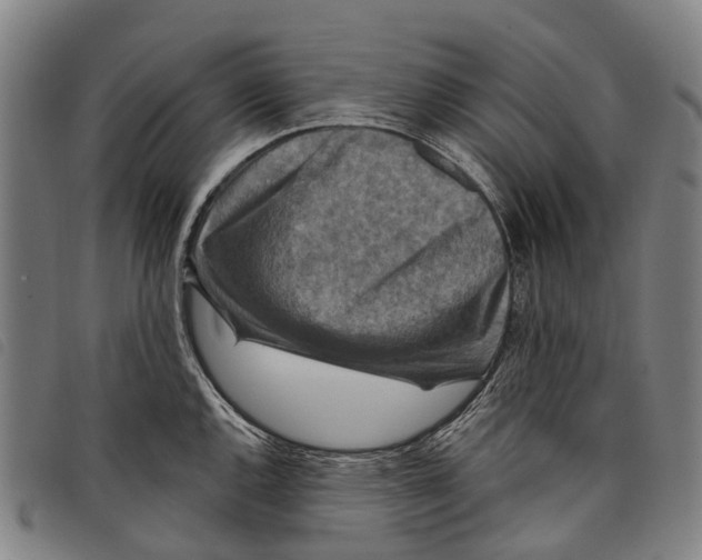 X0000097851144200804041500