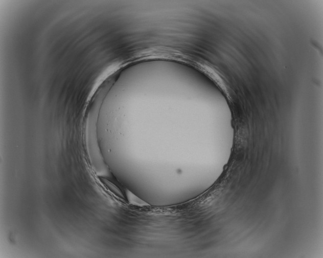 X0000097851146200804041500