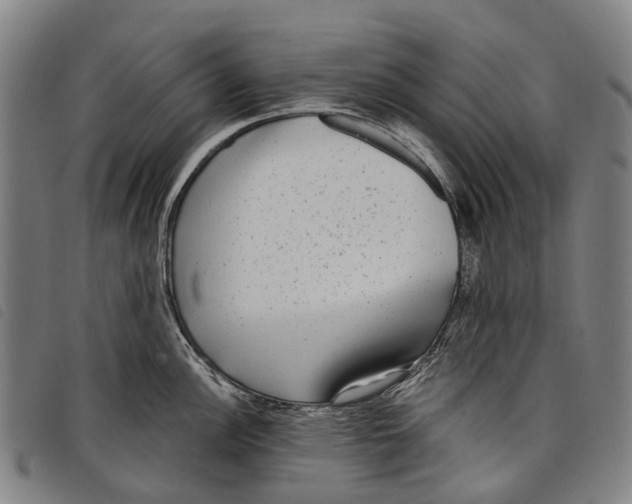 X0000097851148200804041500