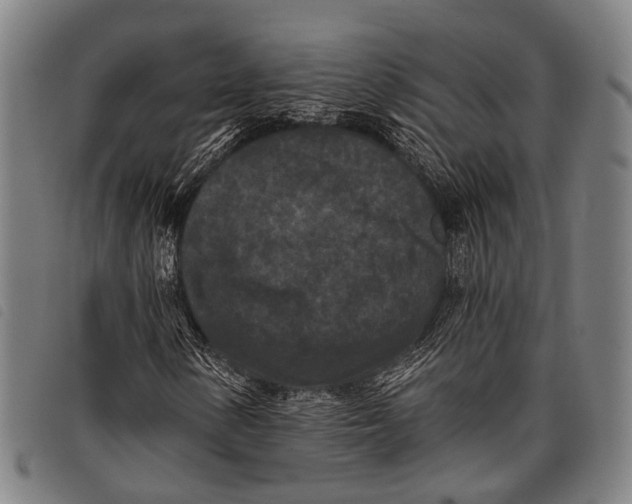 X0000097851154200804041500