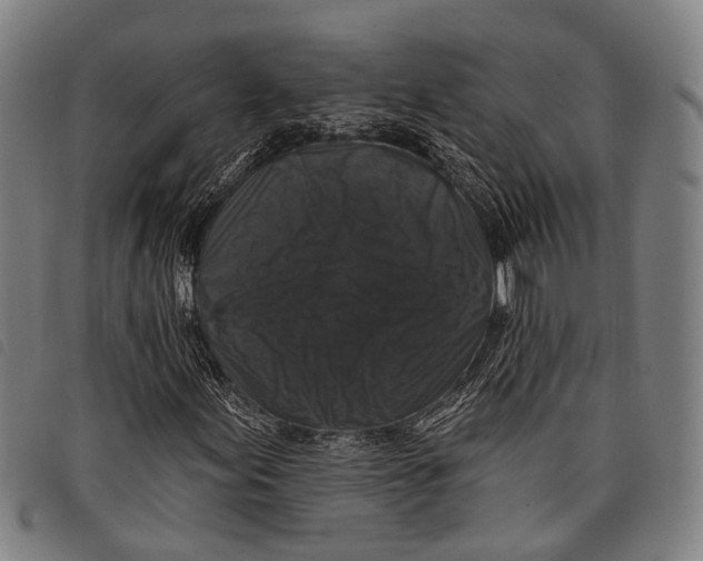 X0000097851155200804041500