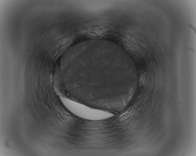 X0000097851156200804041500