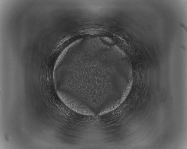 X0000097851158200804041500