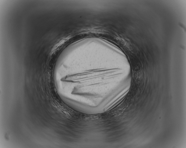 X0000097851159200804041500