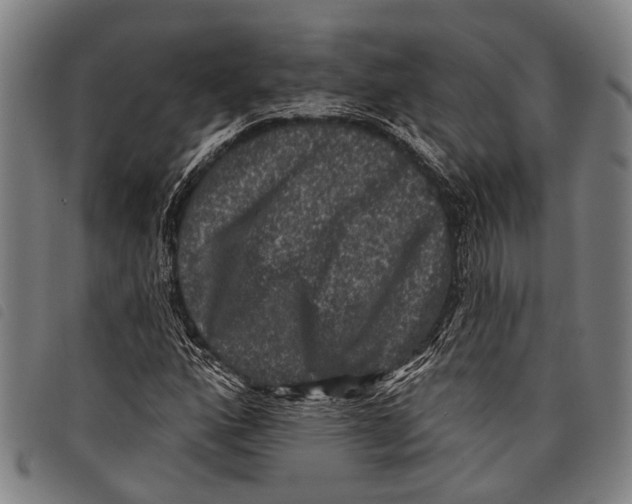 X0000097851160200804041500