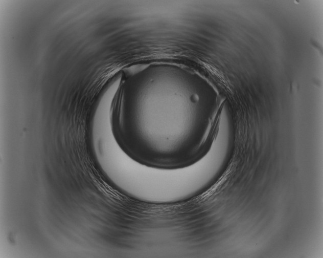 X0000097851161200804041500