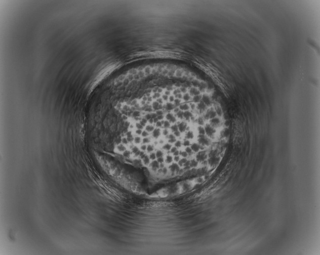 X0000097851163200804041459