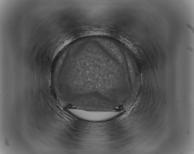 X0000097851165200804041459