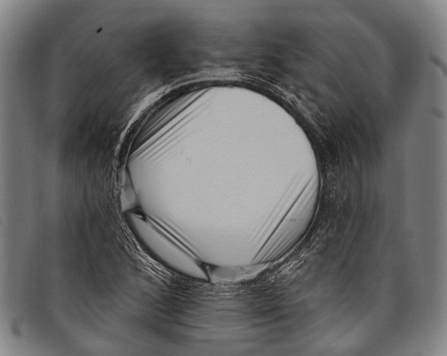 X0000097851168200804041459