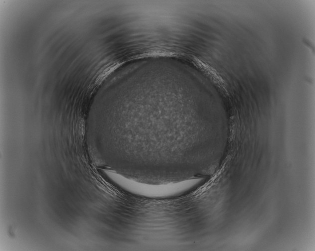 X0000097851169200804041459