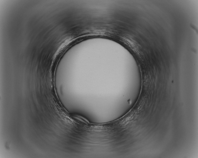 X0000097851172200804041459