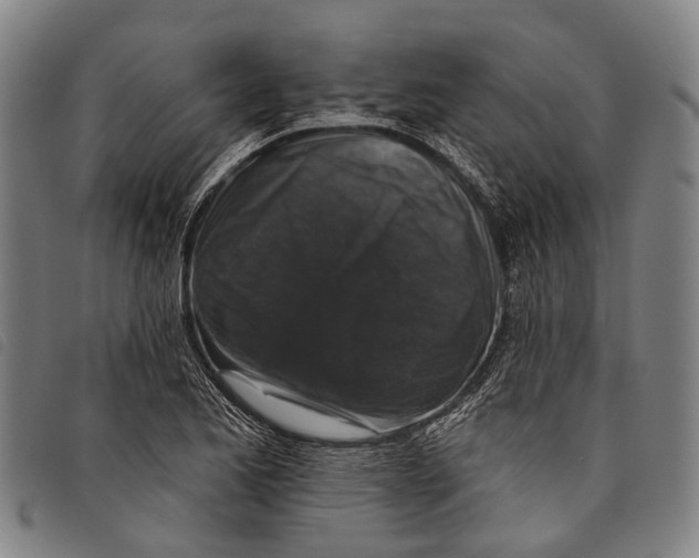 X0000097851173200804041459