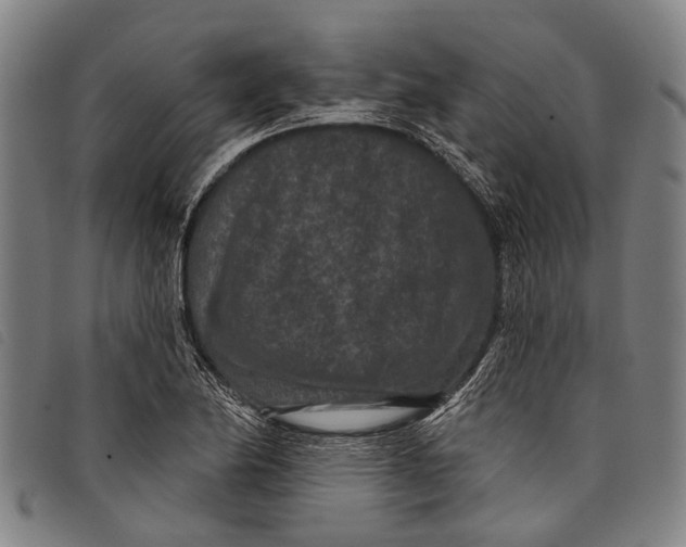 X0000097851174200804041459