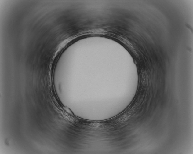 X0000097851176200804041459