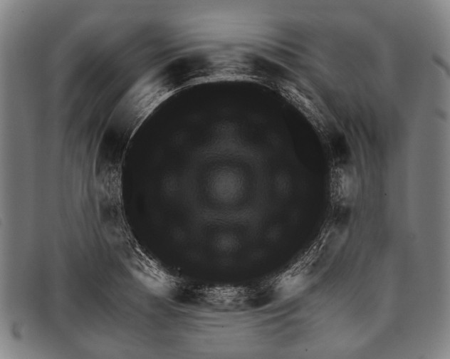 X0000097851177200804041459