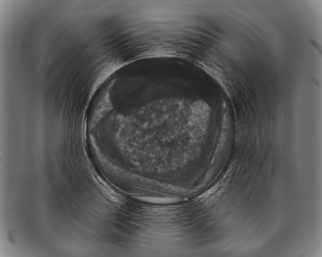 X0000097851179200804041459