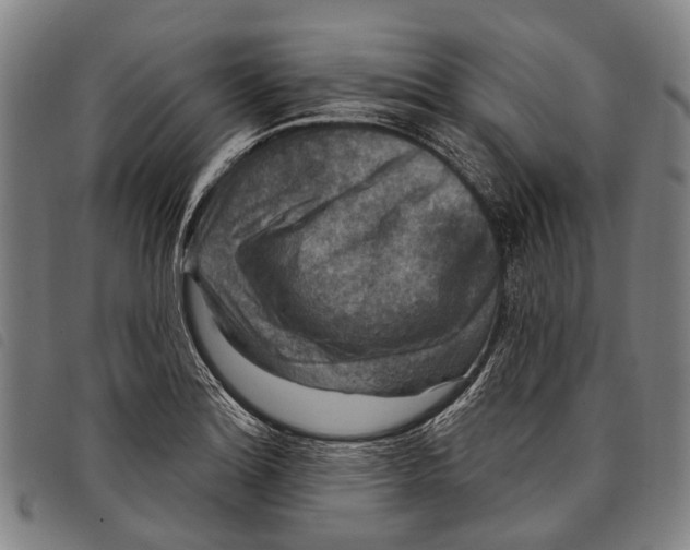 X0000097851180200804041459