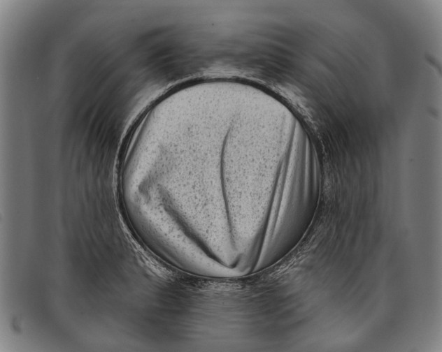 X0000097851183200804041459