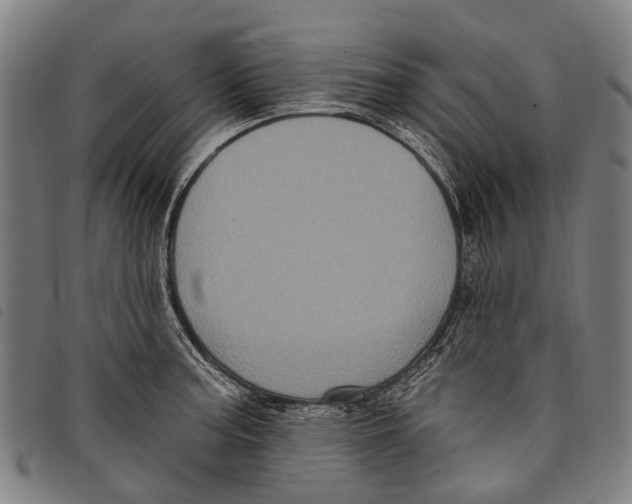 X0000097851187200804041459