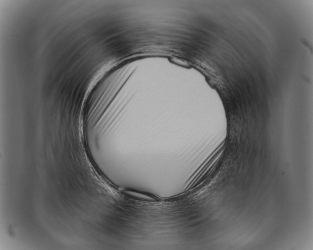 X0000097851188200804041459