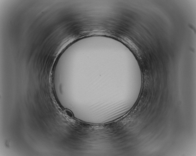 X0000097851190200804041459