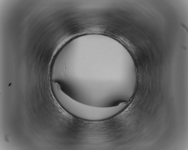 X0000097851192200804041459