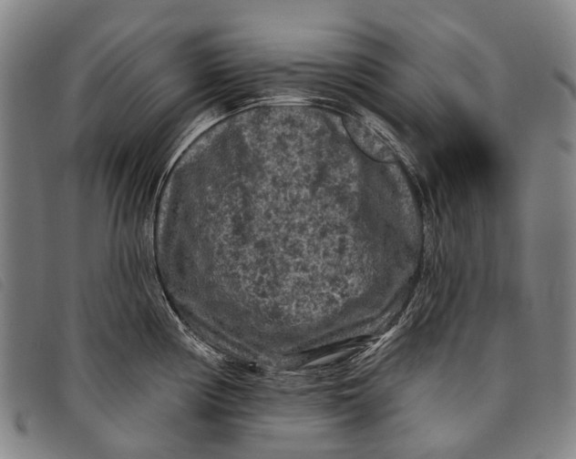 X0000097851194200804041459