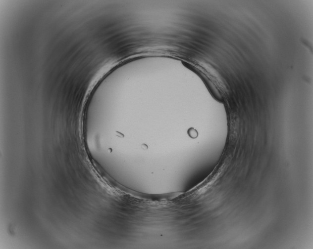 X0000097851196200804041459