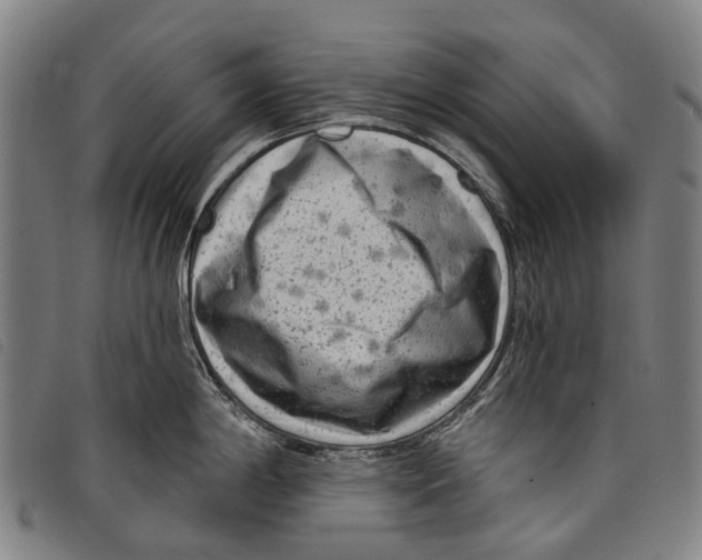 X0000097851198200804041459