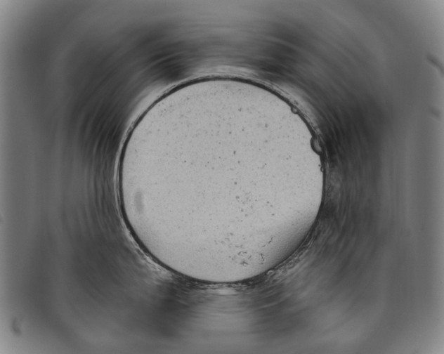 X0000097851199200804041459