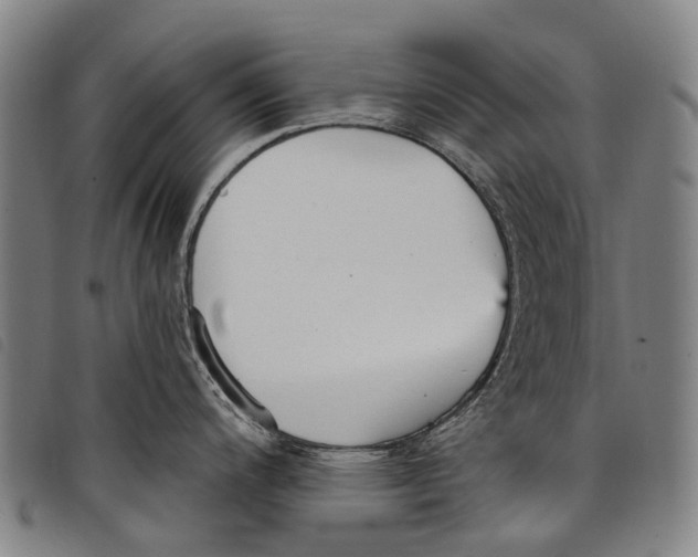 X0000097851200200804041459