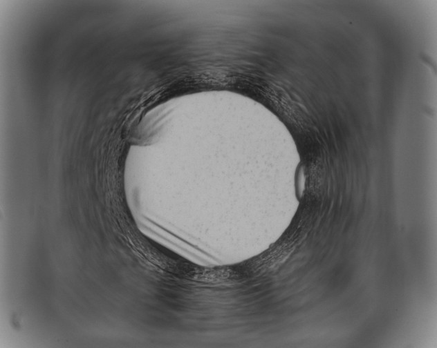 X0000097851201200804041458