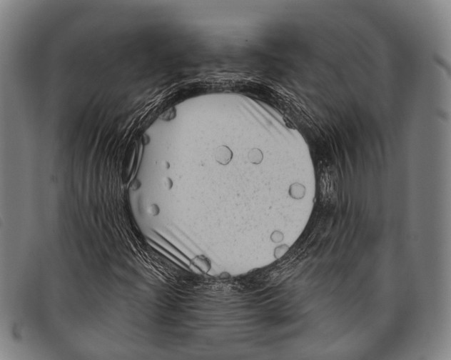 X0000097851204200804041458