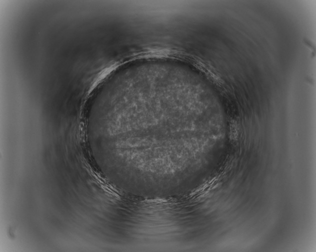 X0000097851208200804041458