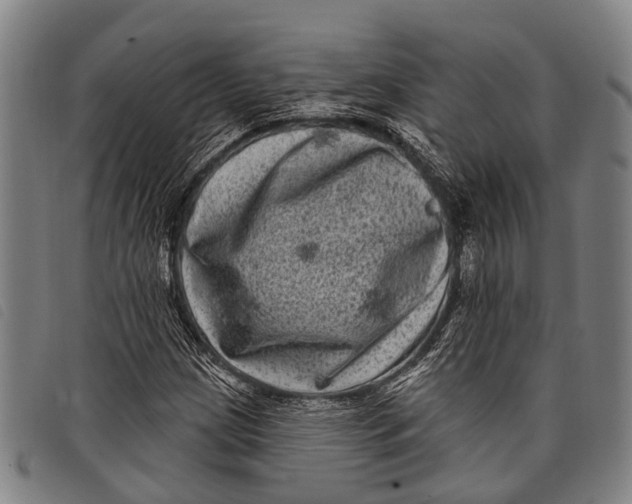 X0000097851209200804041458