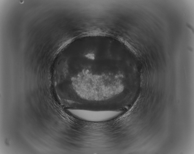 X0000097851213200804041458