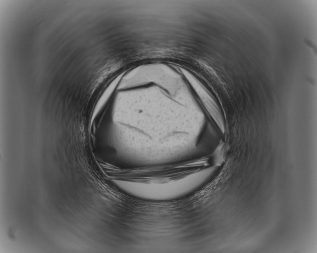 X0000097851218200804041459