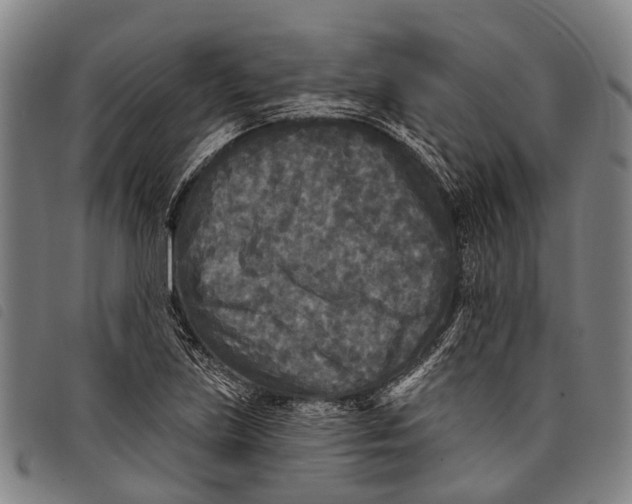 X0000097851219200804041459