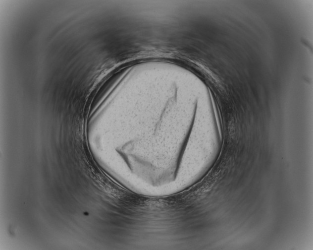 X0000097851220200804041459