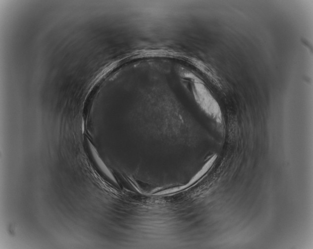 X0000097851221200804041459