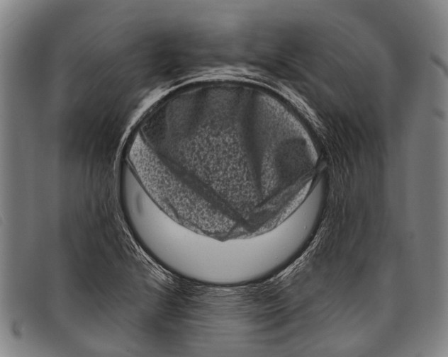 X0000097851224200804041459