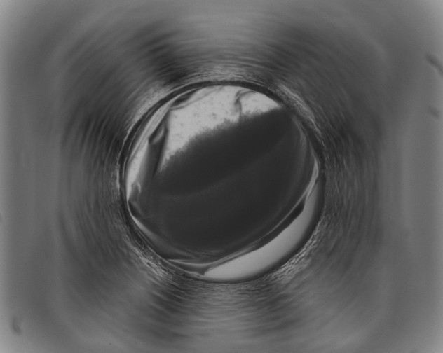 X0000097851226200804041459