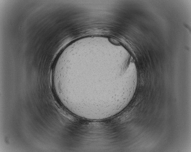 X0000097851227200804041459